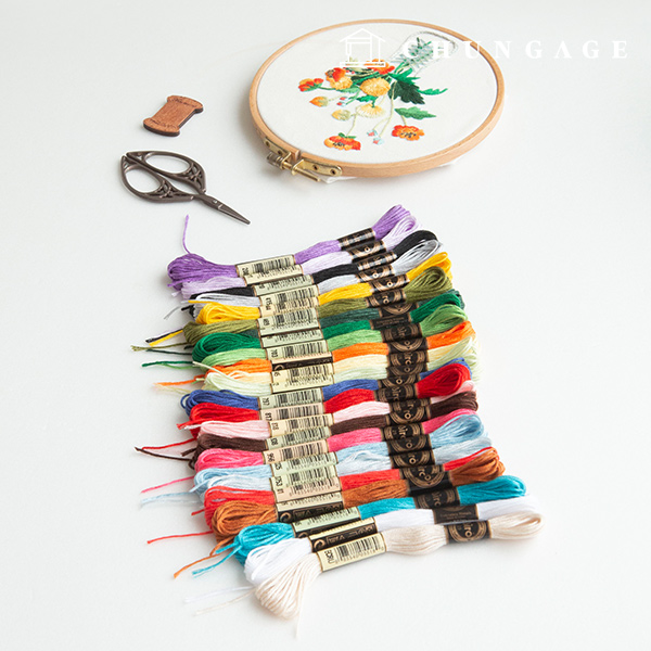 French Embroidery Thread Cross Stitch 24 Color Set