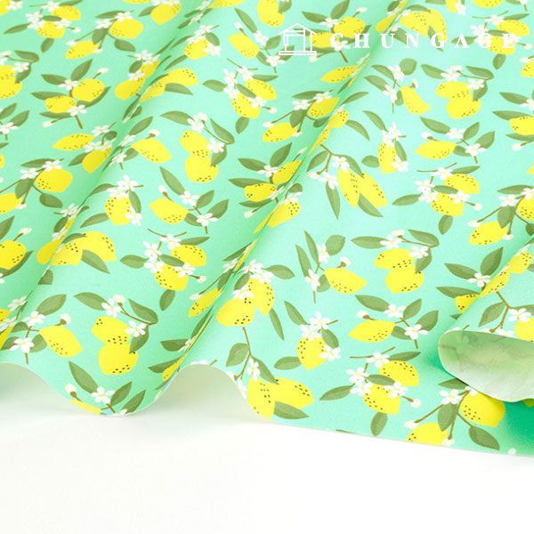 Oxford fabric cotton 20 count eco-friendly DTP Wide Width Lemon Mint MOXF1025