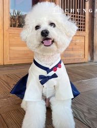 Puppy Clothes Making Patterns Hanbok Girl Puppy Companion Dog Hanbok P1690