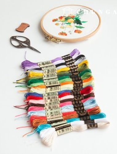 French Embroidery Thread Cross Stitch 24 Color Set