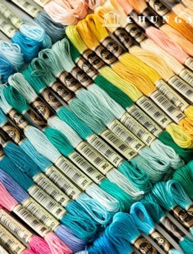 French embroidery thread cross stitch thread daily embroidery DMC number compatible 3740 B5200