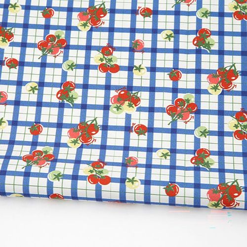 Eco-friendly antibacterial and anti-inflammatory fabric E-DTP cotton 20 count Tomato Picnic Check